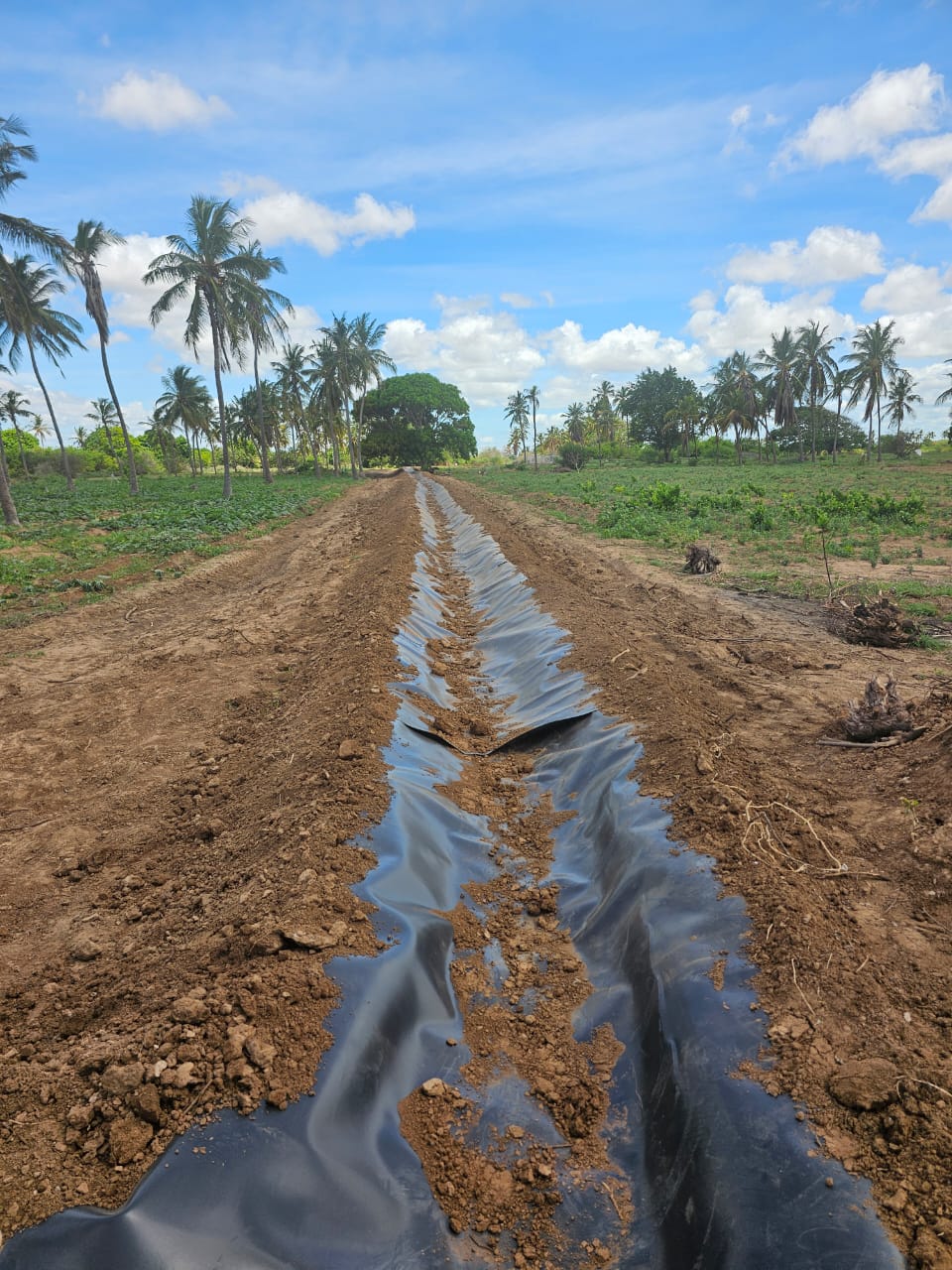 Construction Site 7
